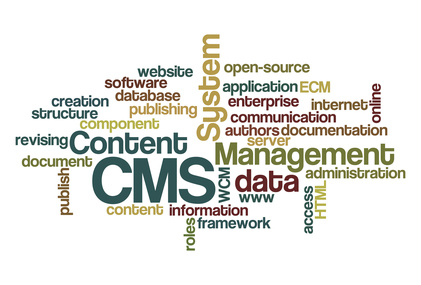 CMS SEO Guidelines