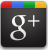 Google+ icon